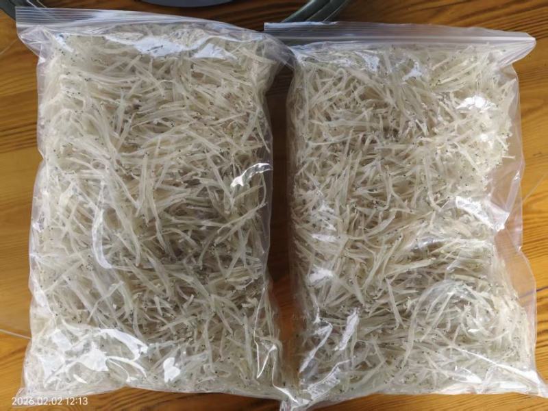 小黄鱼马口鱼批发