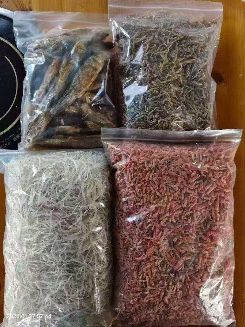 小黄鱼马口鱼批发