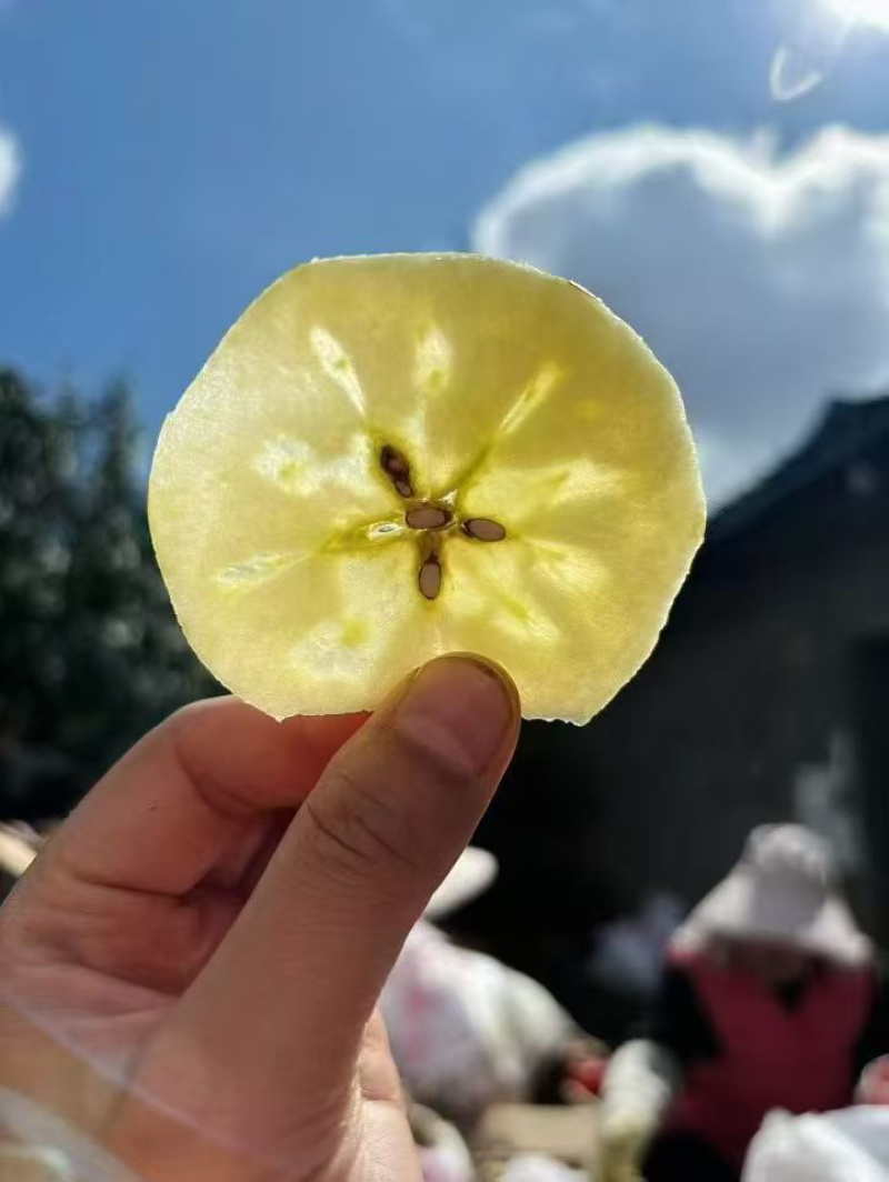 山东优质红富士苹果甜脆多汁产地发货按需加工价格便宜