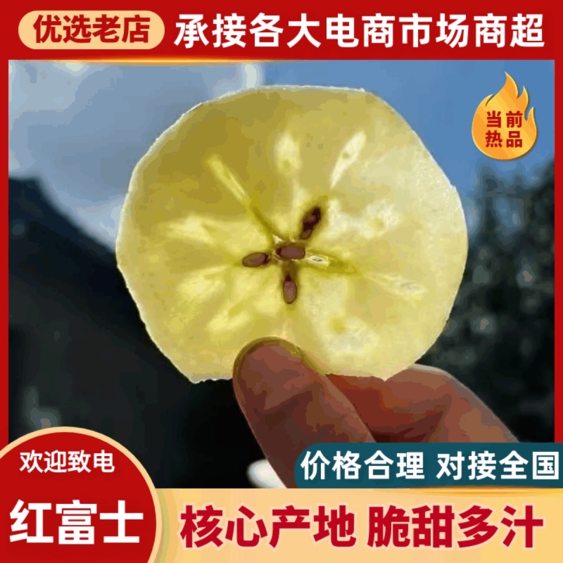 山东优质红富士苹果甜脆多汁产地发货按需加工价格便宜