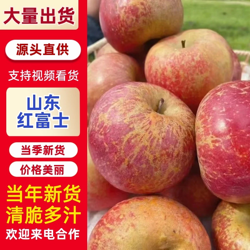山东优质红富士苹果甜脆多汁产地发货按需加工价格便宜