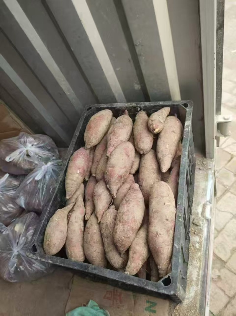 榴莲蜜薯