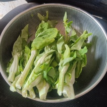白菜苔