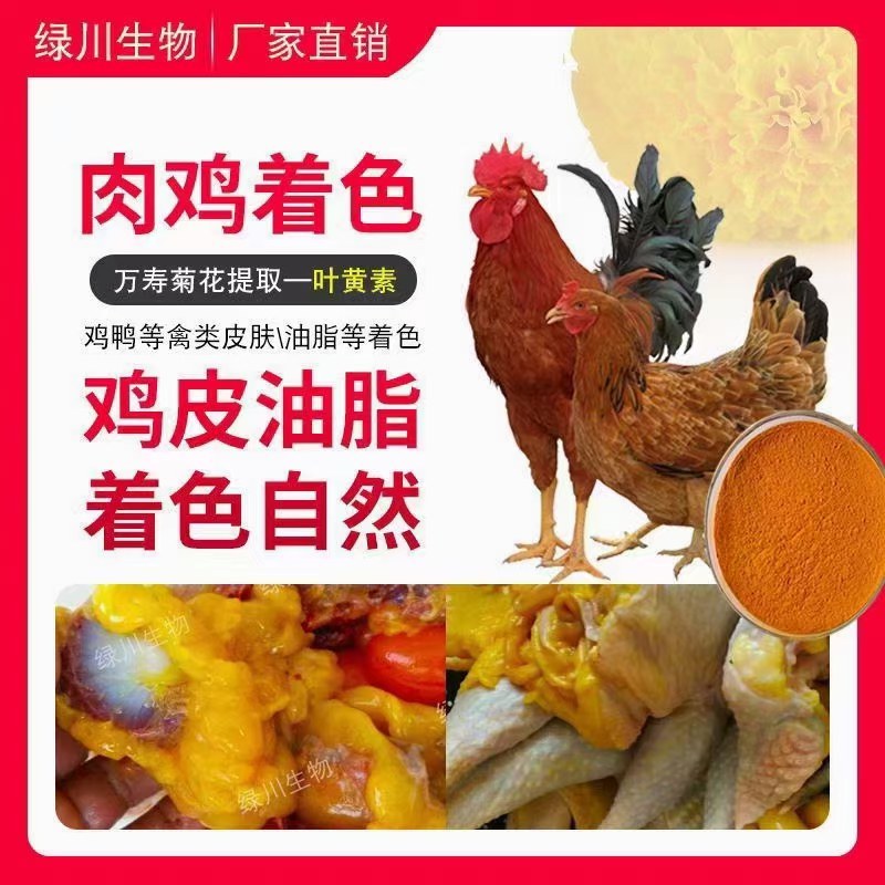 河北绿川饲料叶黄素2%天然的蛋黄着色剂