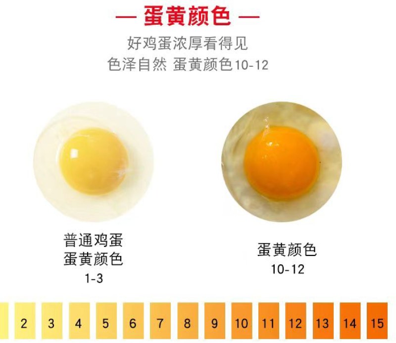 河北绿川饲料叶黄素2%天然的蛋黄着色剂