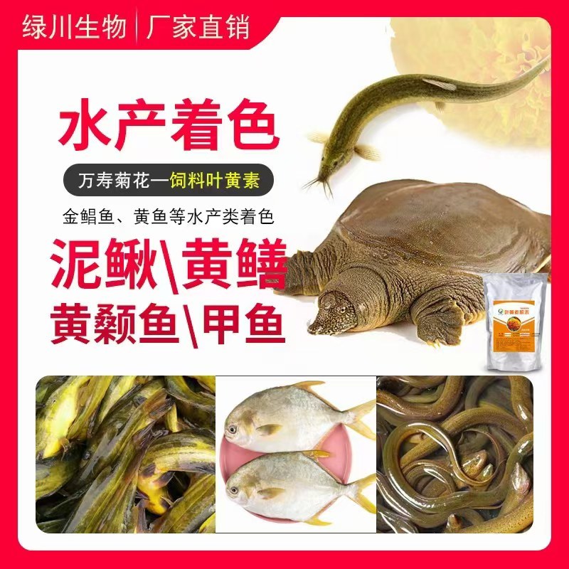 河北绿川饲料叶黄素2%天然的蛋黄着色剂