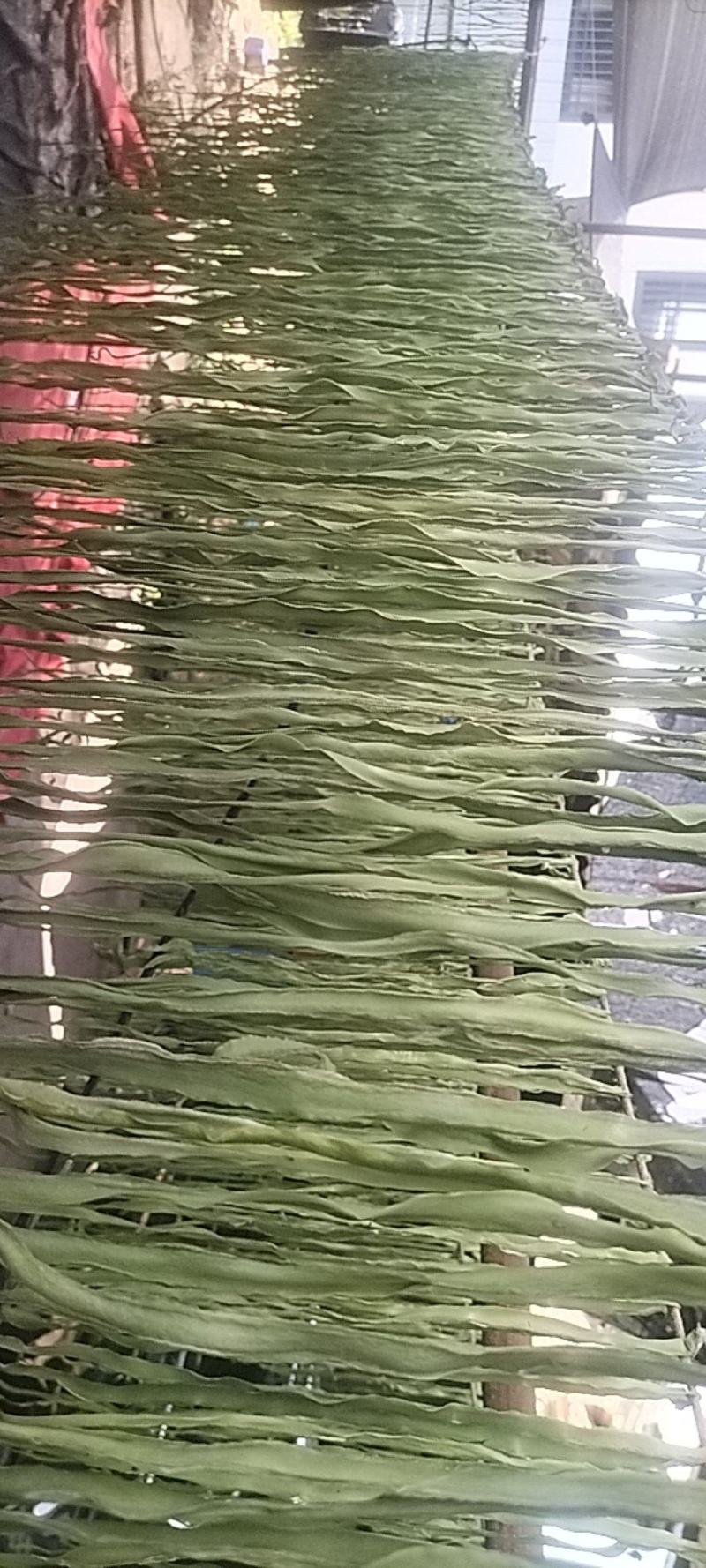 贡菜，无叶，自然晾干