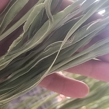 贡菜，无叶，自然晾干