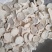 淮山药正品铁棍怀山药无硫含量高，口感甜各种规格产地直销。
