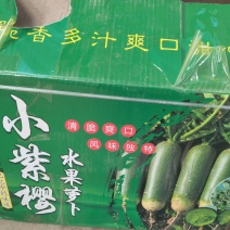 出售小紫樱水果萝卜