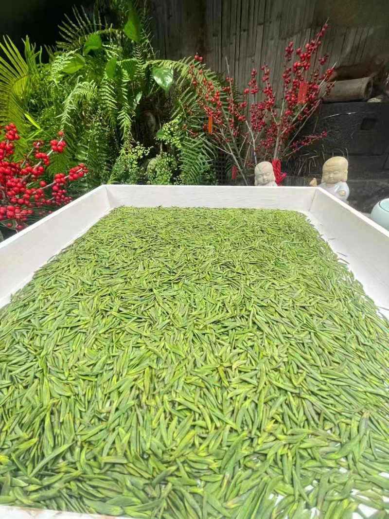 恩施玉露，硒茶春茶待采了，需要的老板可以预约了自有茶田和茶厂