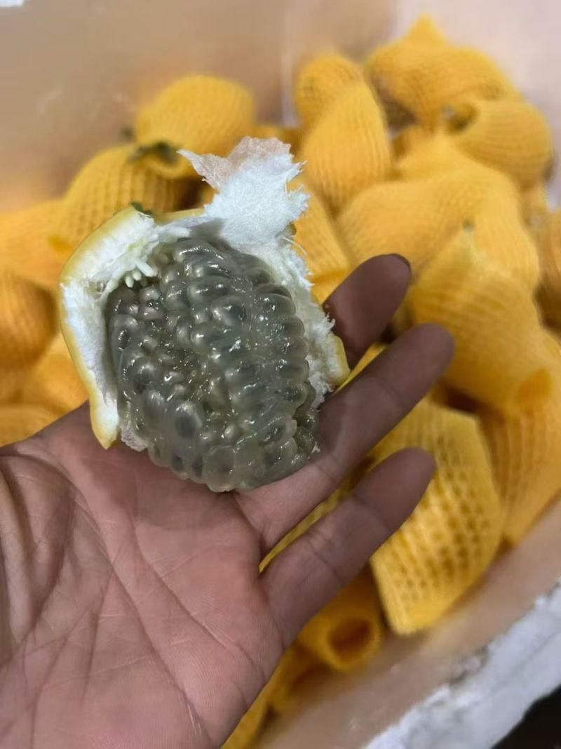 哥伦比亚热情果
