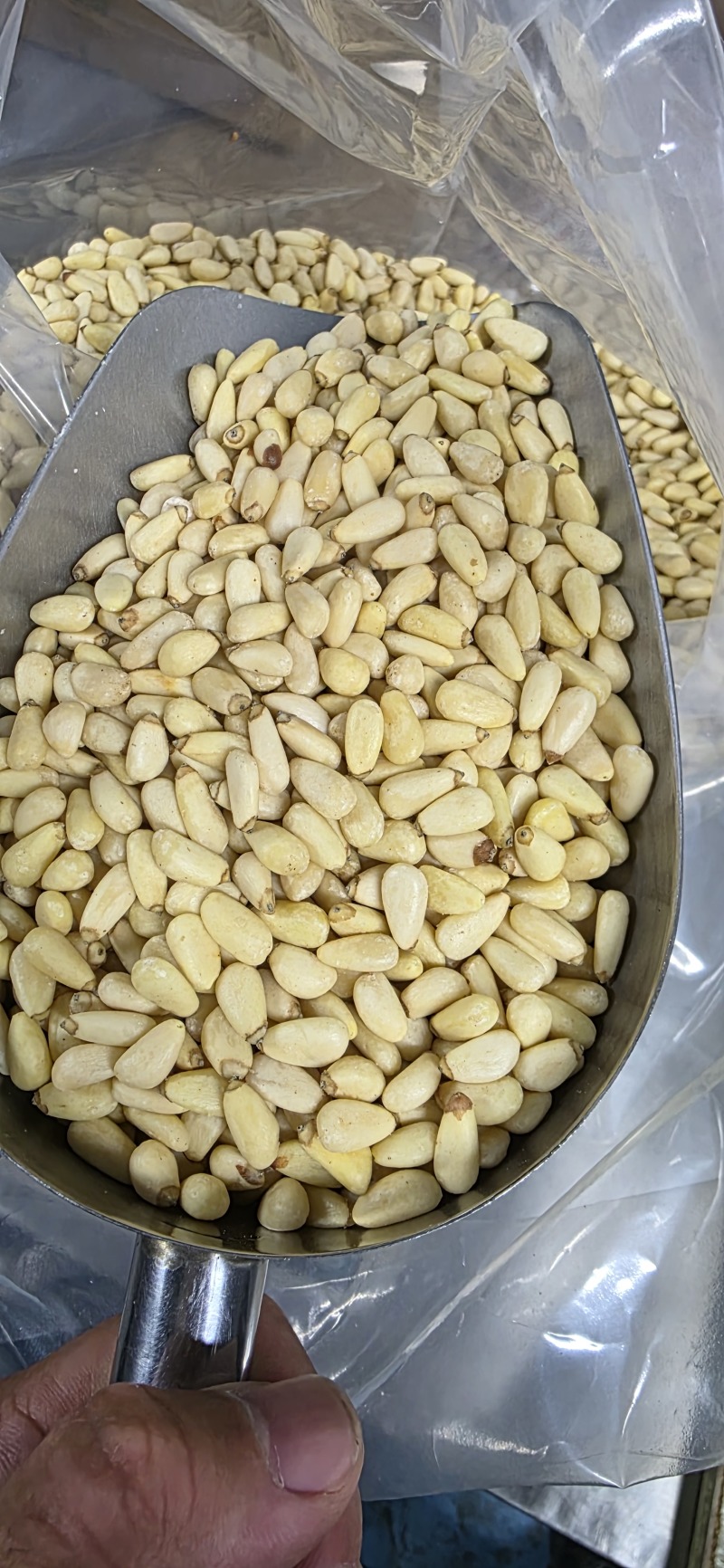 东北红松仁大中小颗粒都有12.5kg一件全国发货