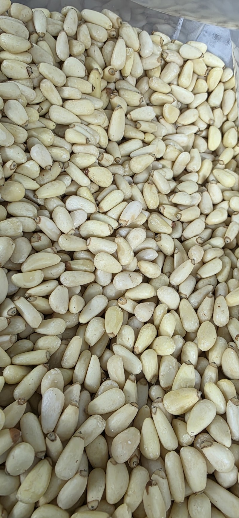 东北红松仁大中小颗粒都有12.5kg一件全国发货