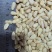 东北红松仁大中小颗粒都有12.5kg一件全国发货