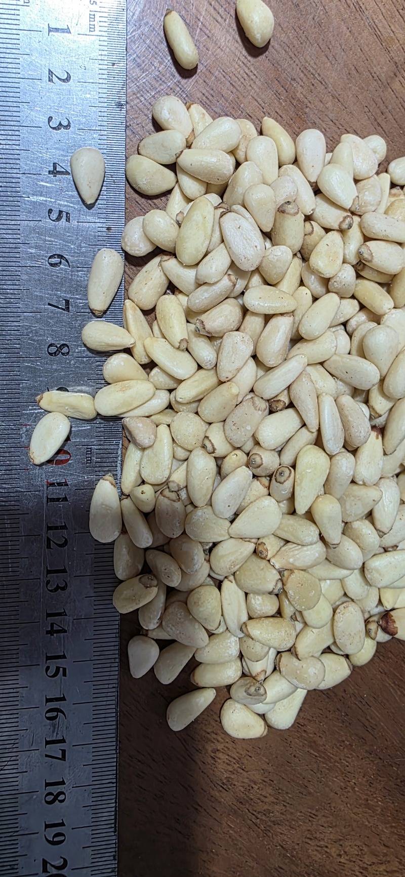 东北红松仁大中小颗粒都有12.5kg一件全国发货