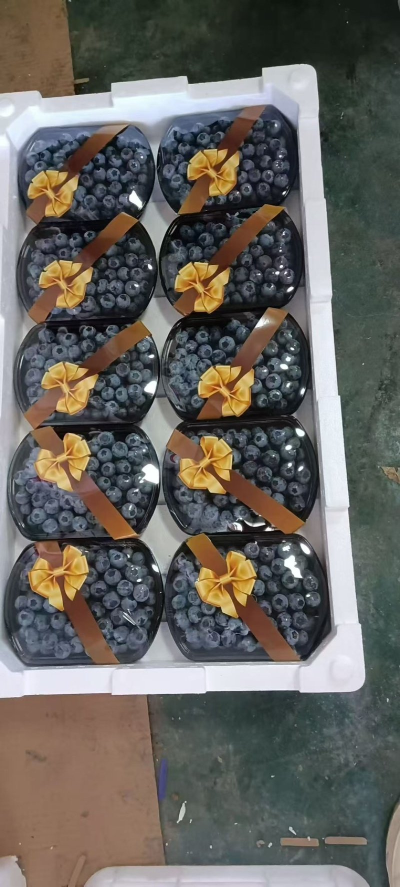 山东大棚蓝莓大量上市，货源充足价格美丽