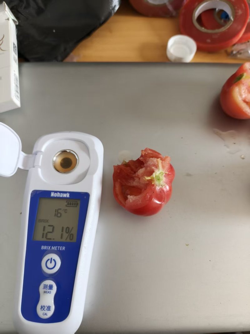 牧心番茄