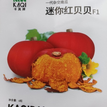 迷你红贝贝南瓜种子一代杂交品种单瓜重400克