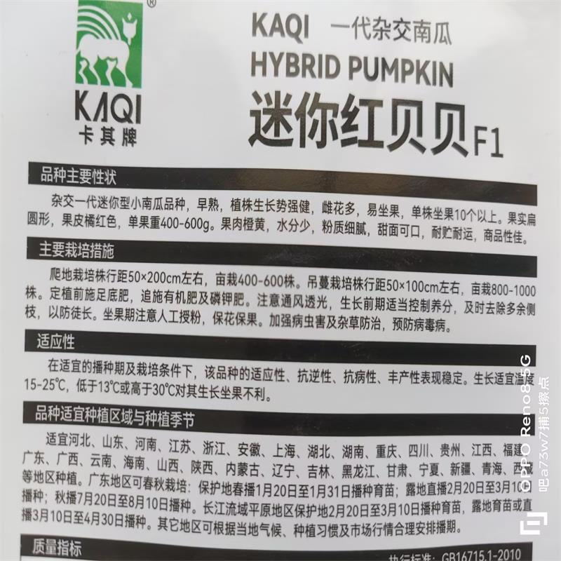 迷你红贝贝南瓜种子一代杂交品种单瓜重400克
