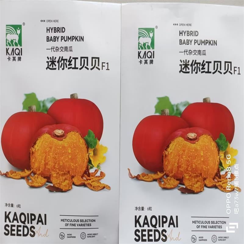 迷你红贝贝南瓜种子一代杂交品种单瓜重400克