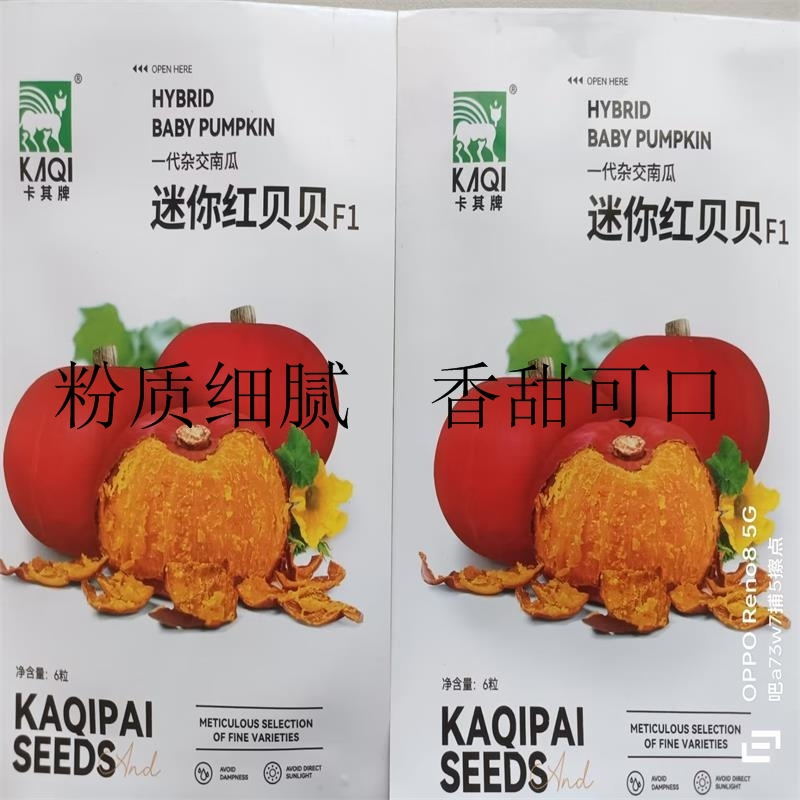 迷你红贝贝南瓜种子一代杂交品种单瓜重400克