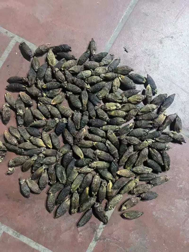 越南干果槟榔