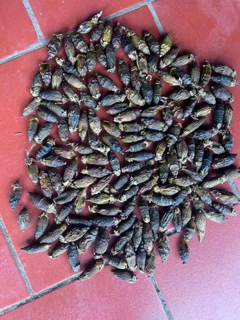 越南干果槟榔