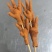 【熟食鸡爪】卤鸡爪大量供应可视频厂家直发欢迎来电采购