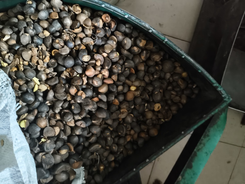 广西河池南丹山茶油（**任何添加）