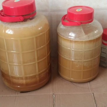 野生蜂蜜