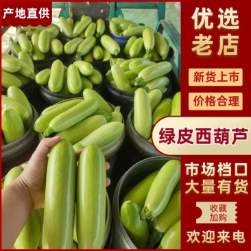 山东绿皮西葫芦油绿西葫芦，货源充足产地直发品质保证