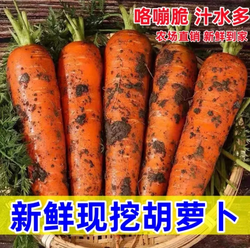 红胡萝卜