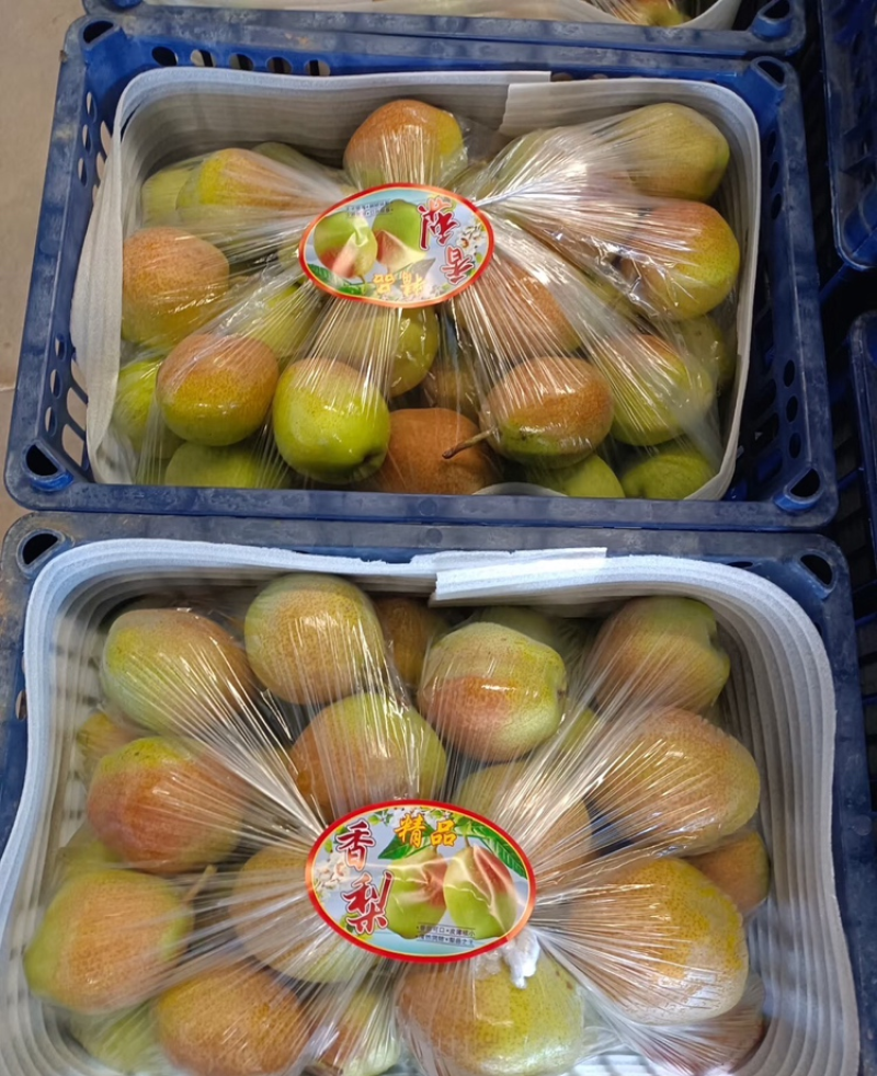 红香酥梨大量上市，全国发货/陕西酥梨价格优惠/脆甜多汁/