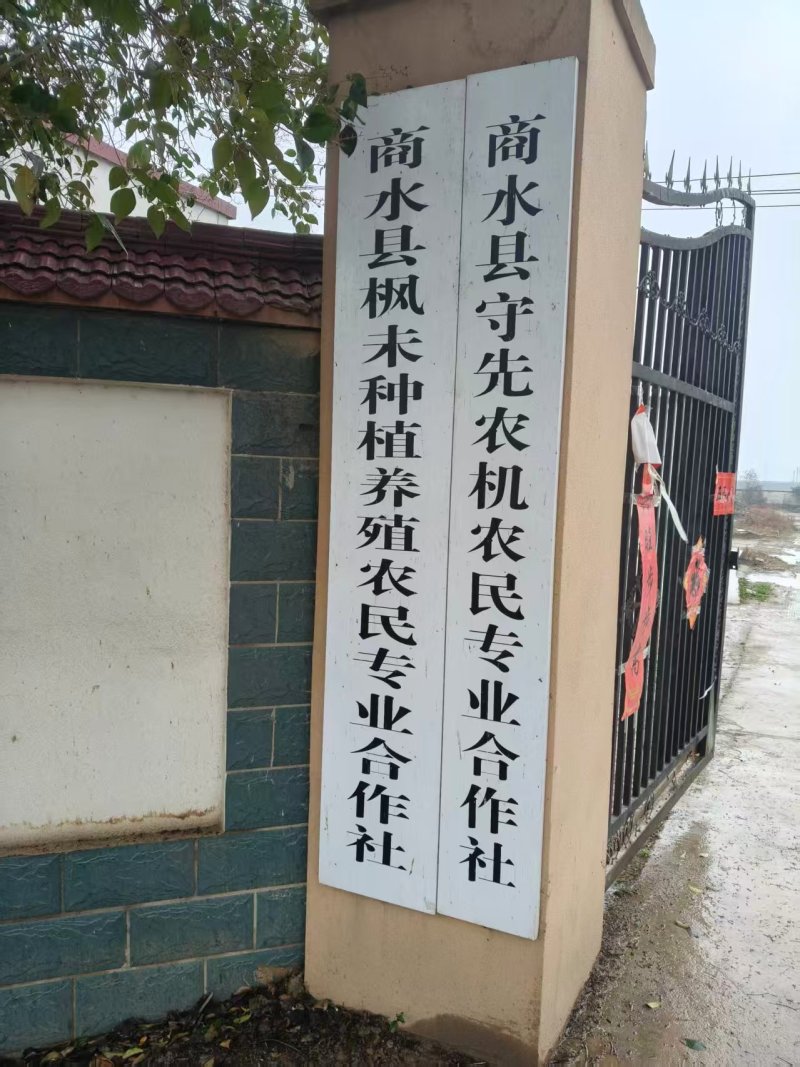 大公鸡，自家养殖，量大优惠，可视频看货，欢迎合作