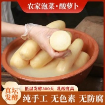 《酸萝卜》泡菜萝卜/腌萝卜/自家加工/全年有货供应