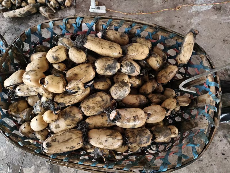 阜南精品货一手货源质量好，品质好