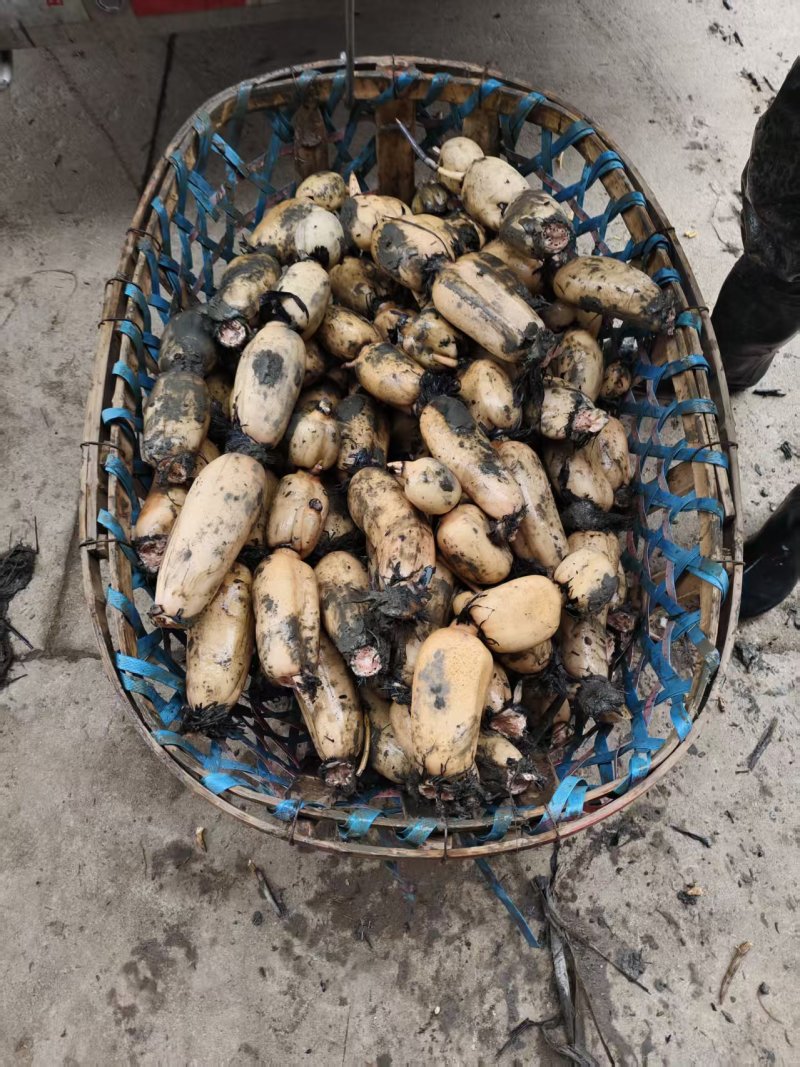 阜南精品货一手货源质量好，品质好