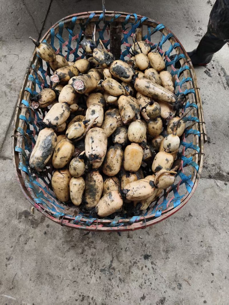 阜南精品货一手货源质量好，品质好