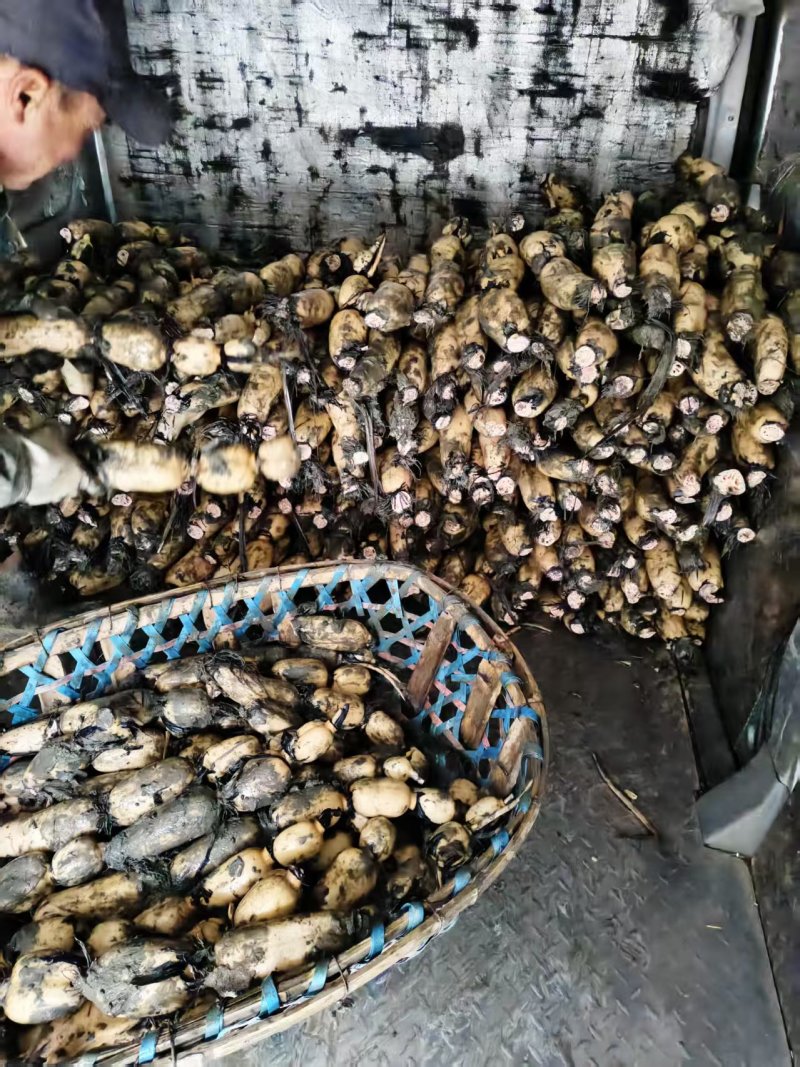 阜南精品货一手货源质量好，品质好