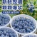 云南花香蓝莓L25