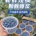云南花香蓝莓L25