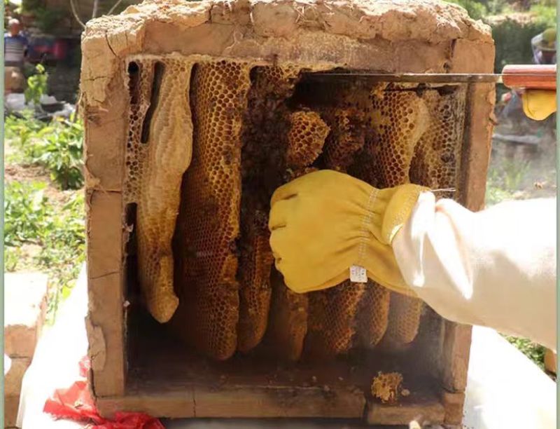 土蜂蜜【野生百花土蜂蜜】一件包邮支持视频看货量大从优