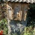 土蜂蜜【野生百花土蜂蜜】一件包邮支持视频看货量大从优
