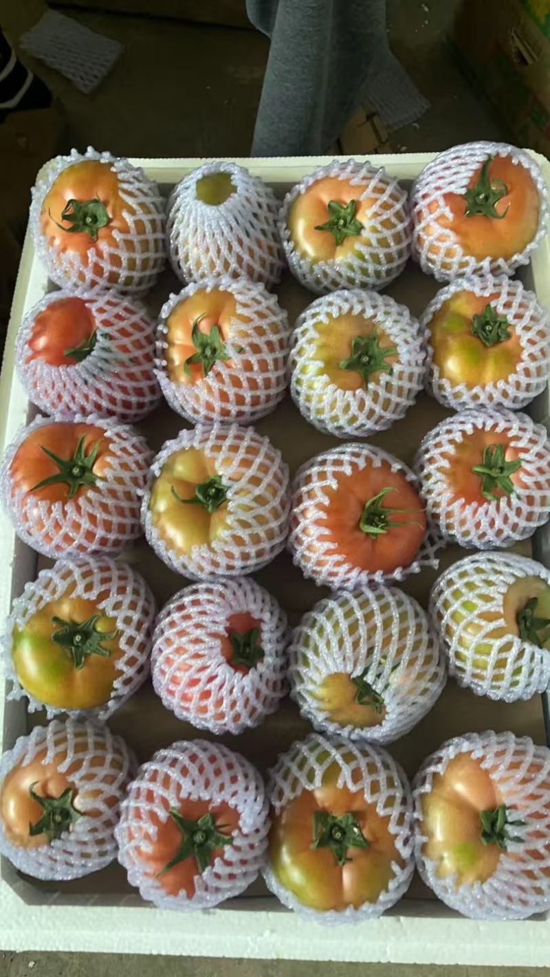 江苏连云港精品硬粉串果开始上市，电商商超批发市场
