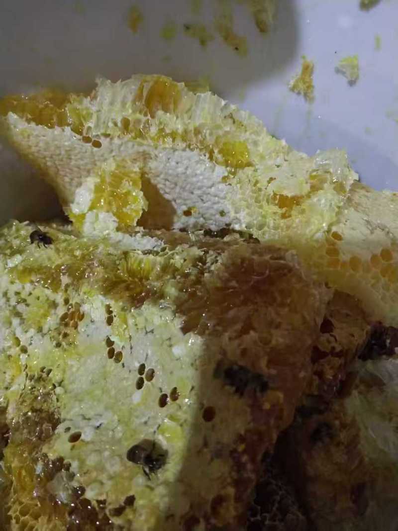 湘西野生百花蜂蜜精品