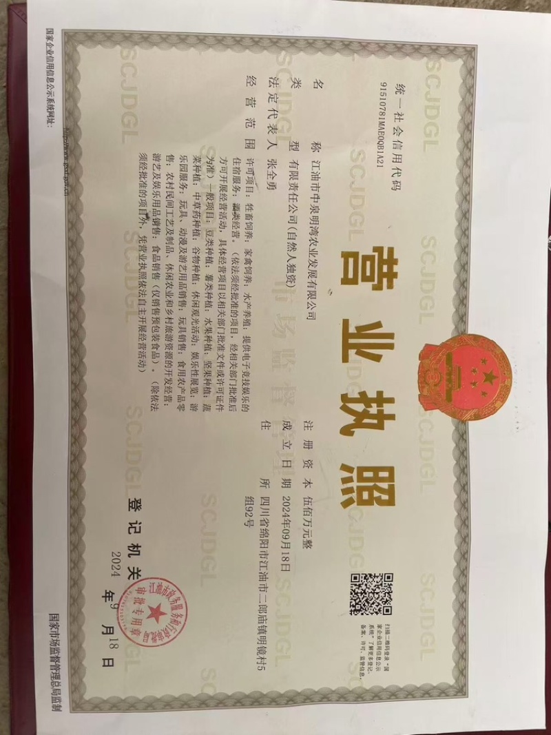 江油跑山土鸡山林散养纯粮喂养肉质紧实产地直供
