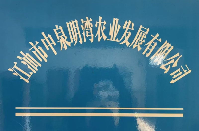 江油跑山土鸡山林散养纯粮喂养肉质紧实产地直供