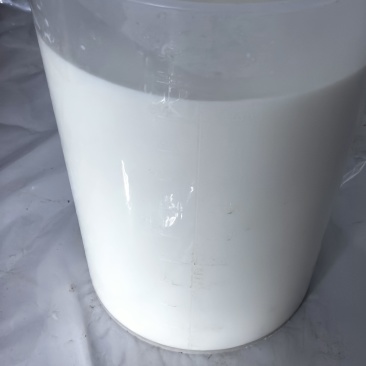 每日现挤鲜羊奶，产地直发，支持视频看货，量大价优