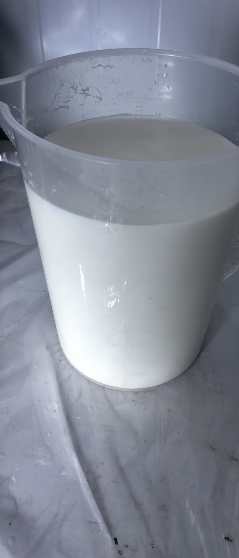 每日现挤鲜羊奶，产地直发，支持视频看货，量大价优